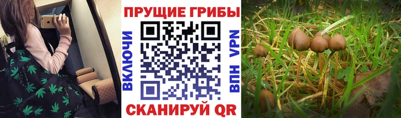 мориарти формула  Белёв  Галлюциногенные грибы MAGIC MUSHROOMS  дарнет шоп 